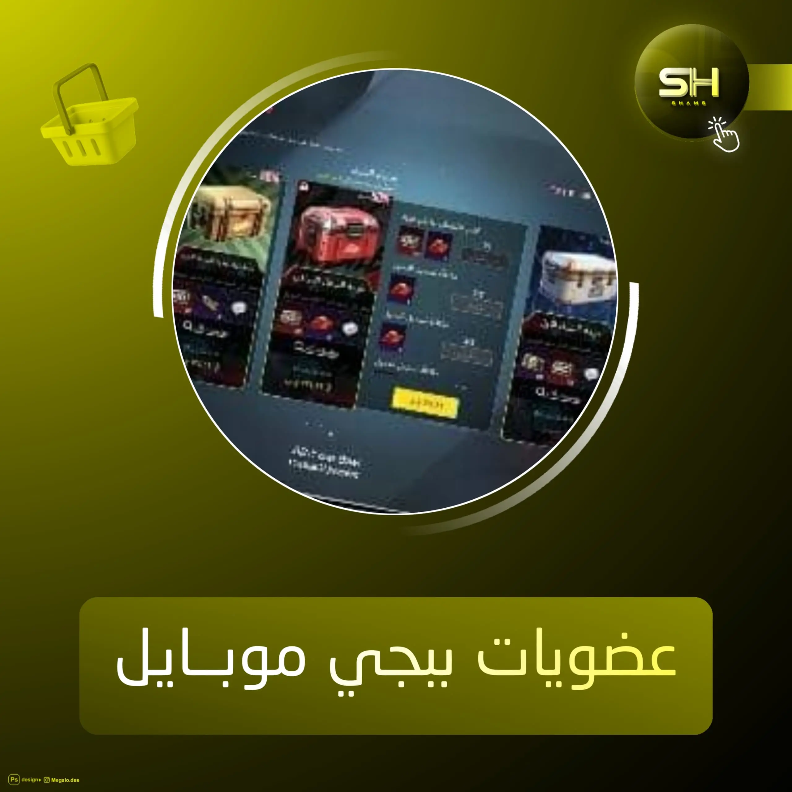 عضويات ببجي