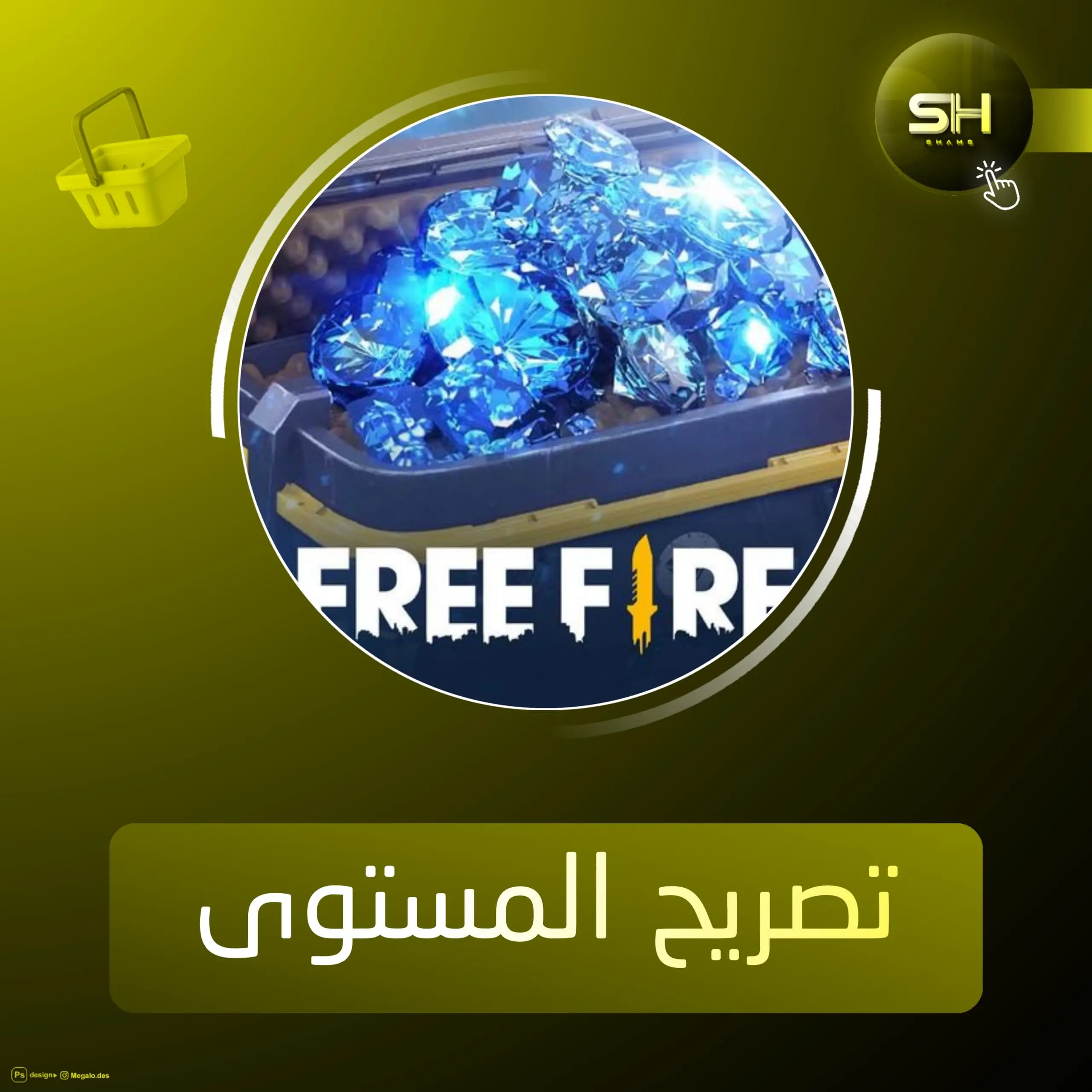 حزمة المستوى 25