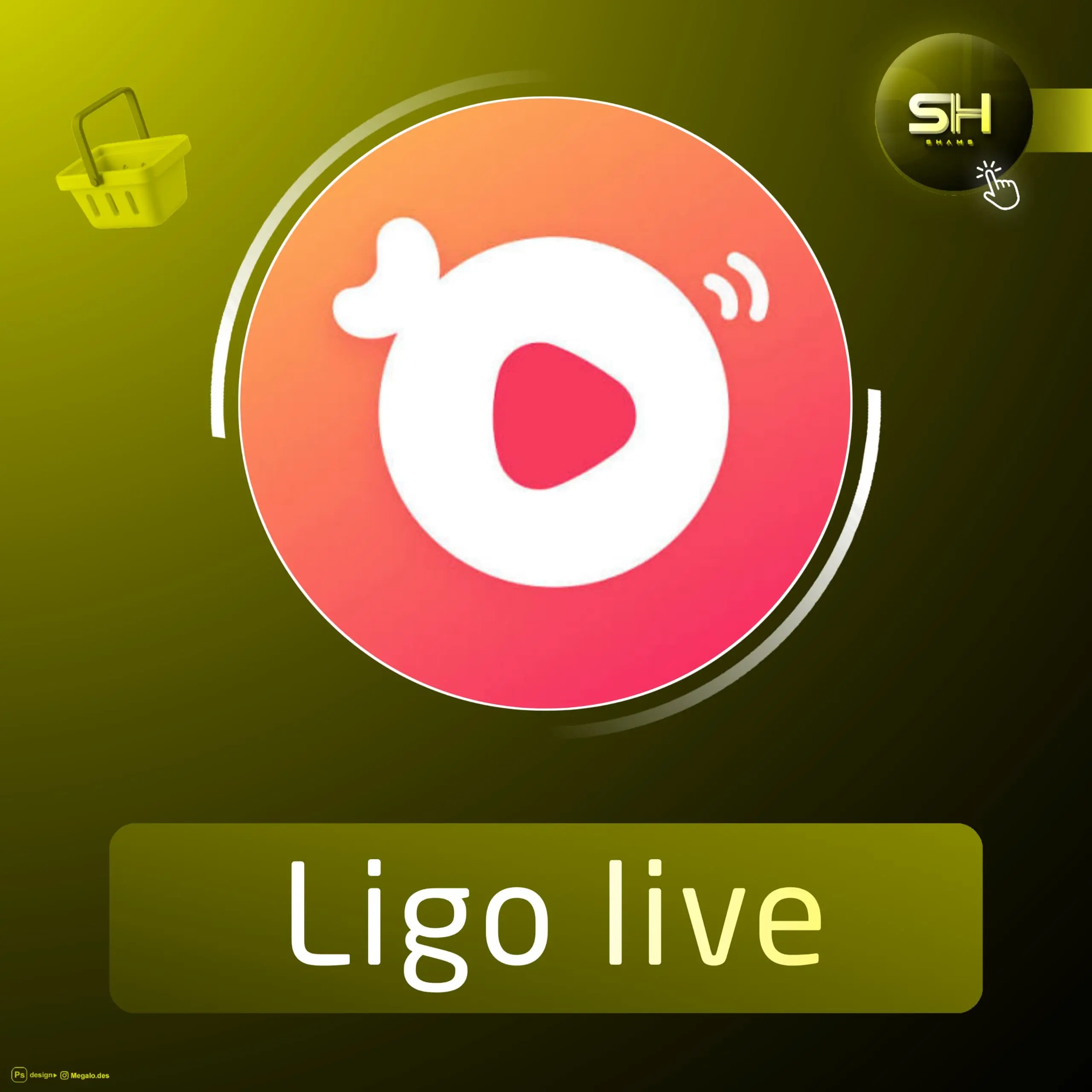 Ligo live سيرفر 2