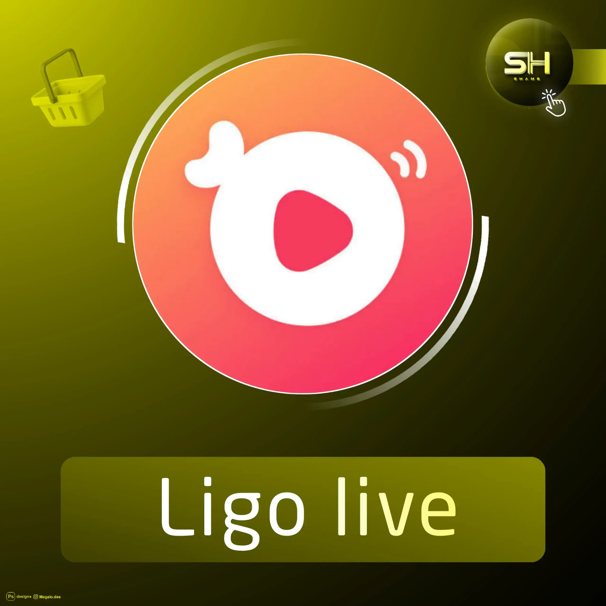 Ligo live سيرفر 1