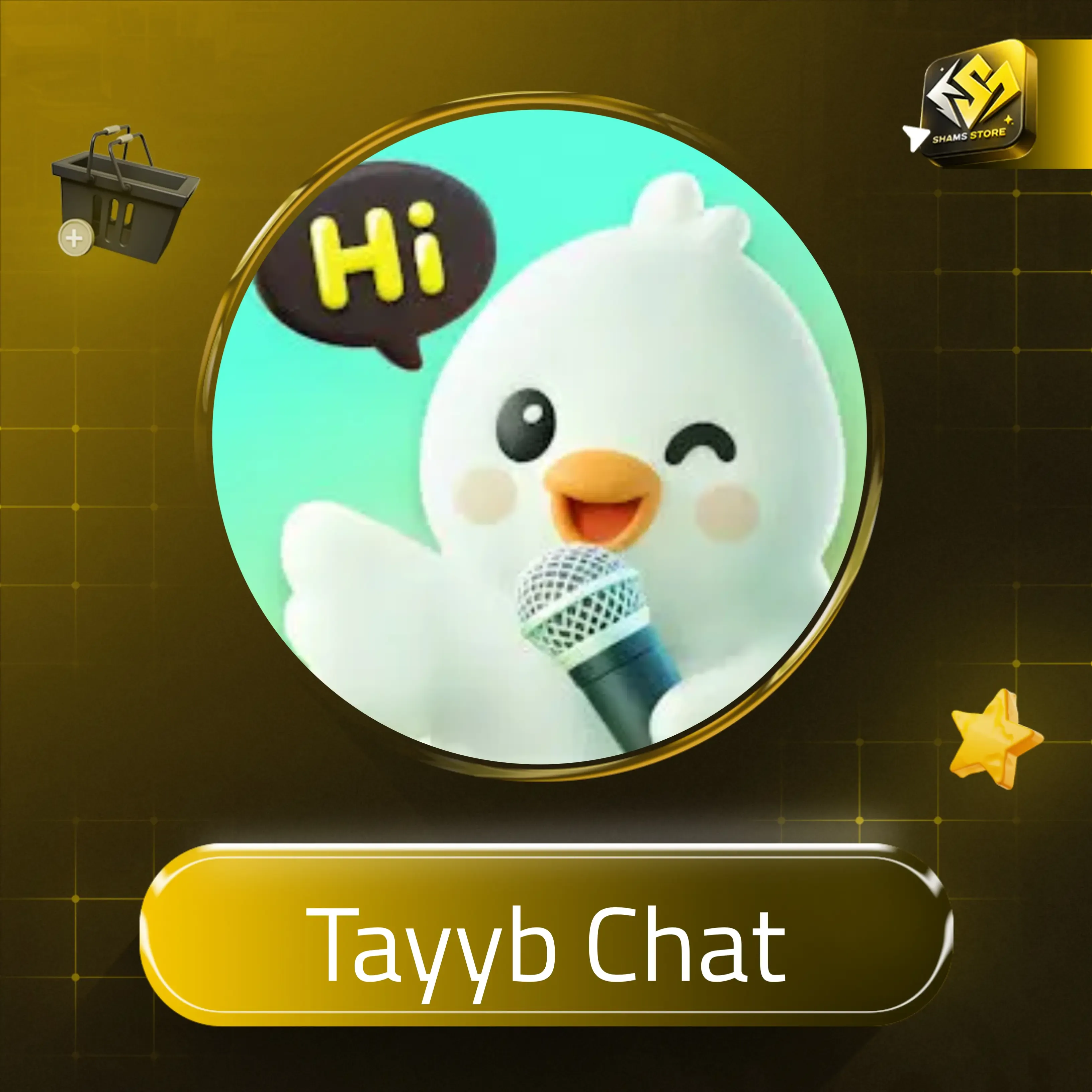 Tayyb Chat B