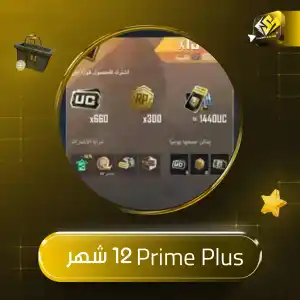 Prime Plus - ( 12 شهر )
