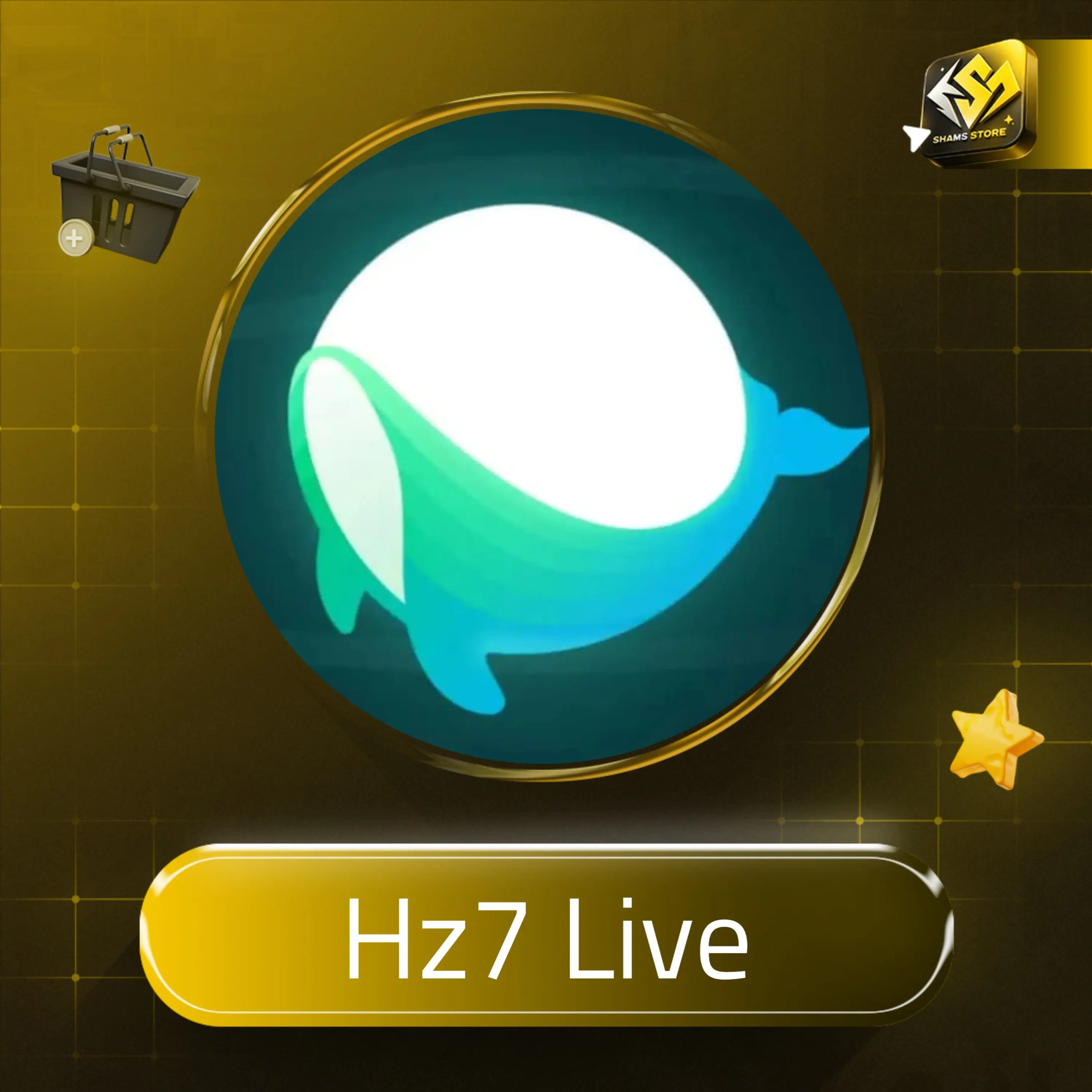 Hz7 Live A