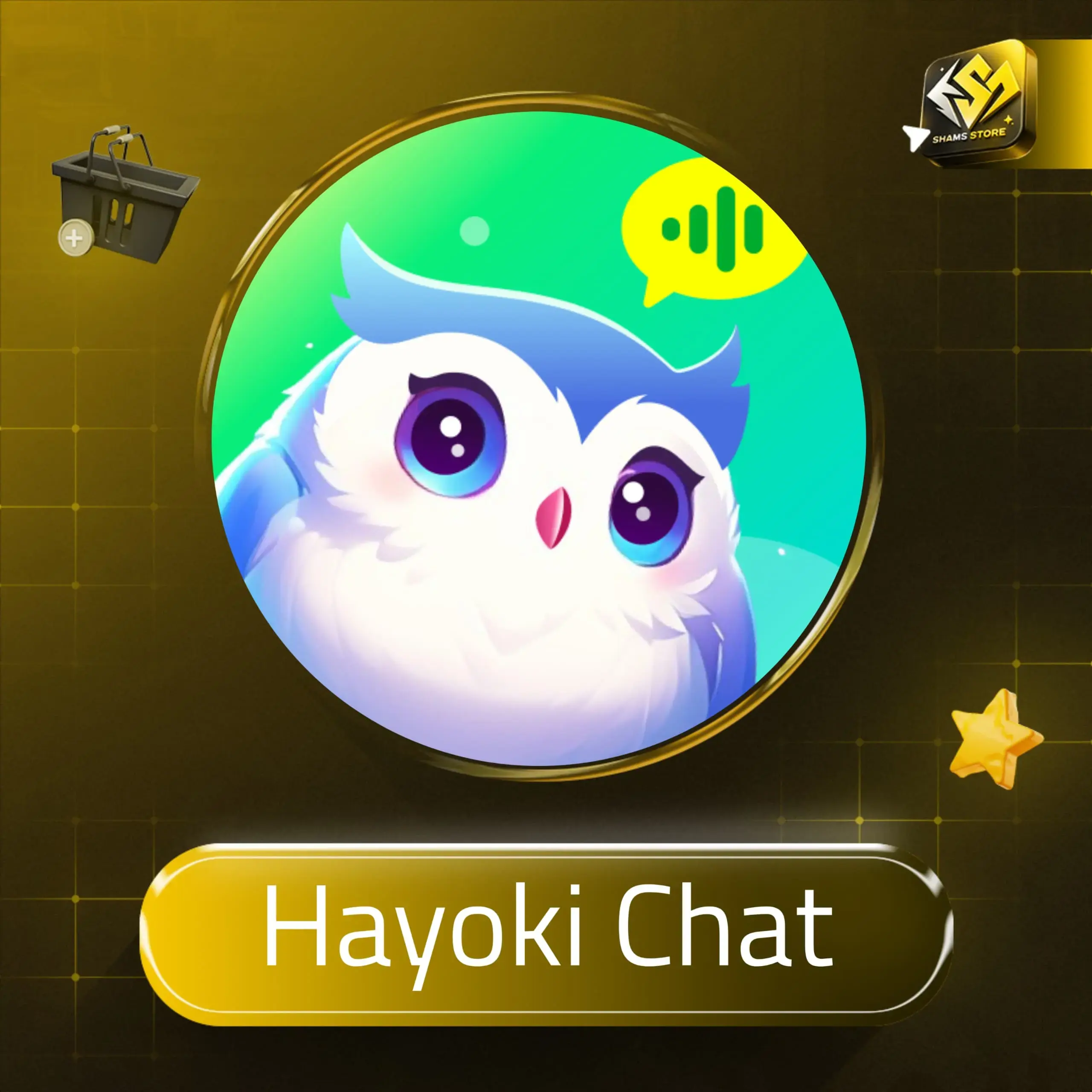 Hayoki Chat B