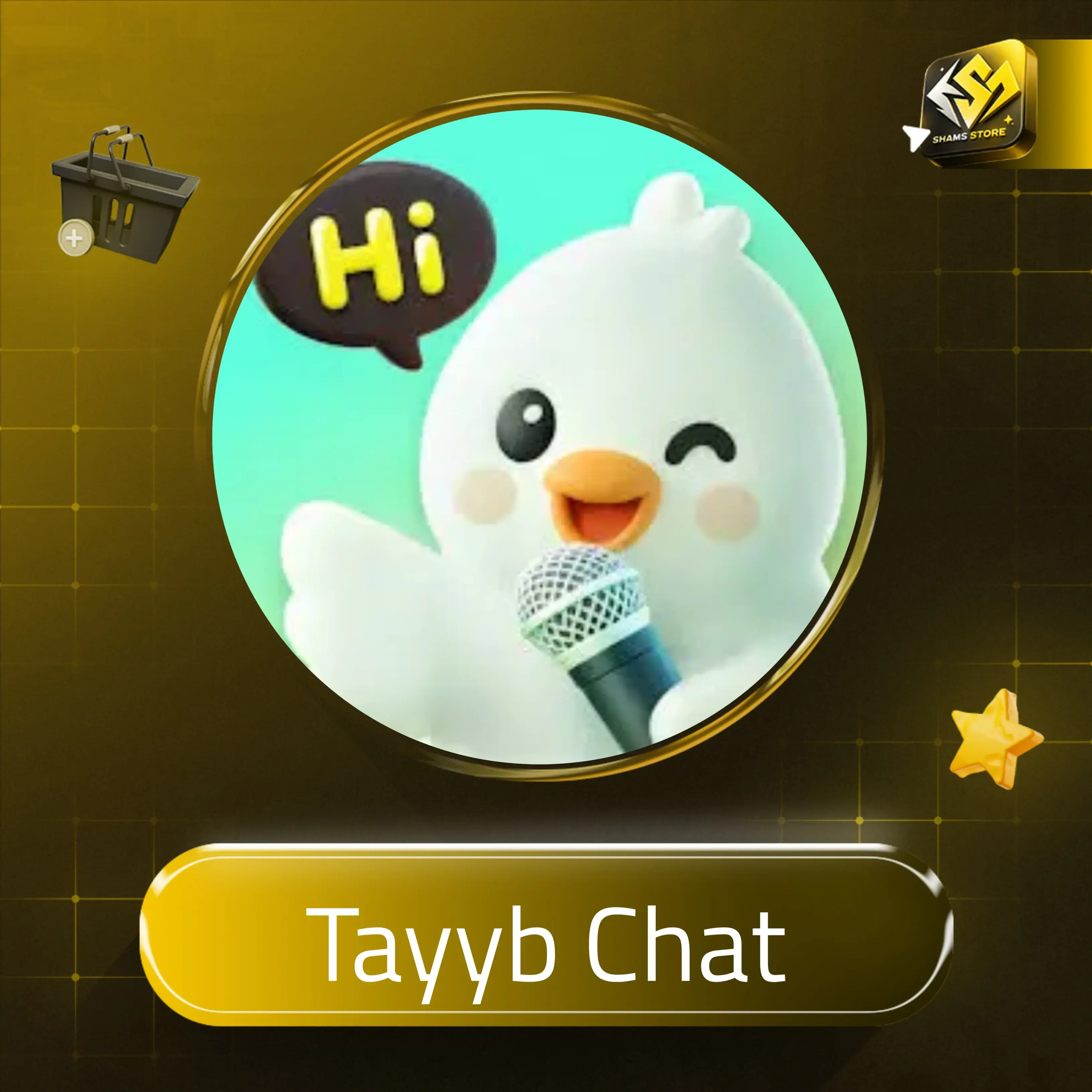 Tayyb Chat C