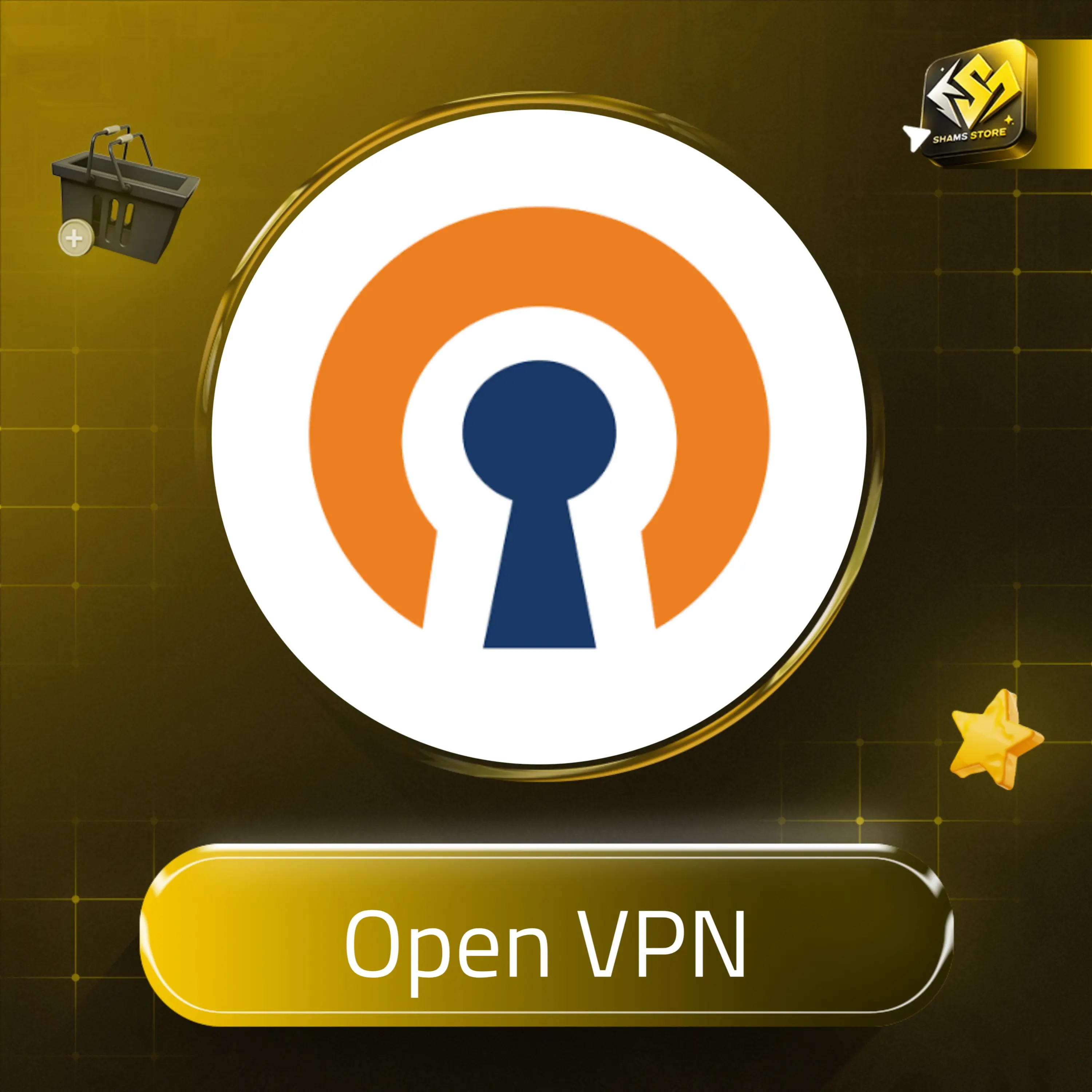 Open VPN - 6 أشهر 