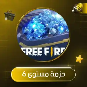 حزمة المستوى 6